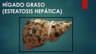 HÍGADO GRASO
(ESTEATOSIS HEPÁTICA)
 