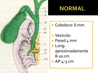  Coledoco: 6 mm
 Vesicula:
 Pared 4 mm
 Long:
aproximadamente
8-10 cm
 AP:4-5 cm
 