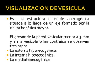  Es una estructura elipsoide anecogénica
situada a lo larga de un eje formado por la
cisura hepática mayor.
El grosor de la pared vesicular menor a 3 mm
y en la vesícula biliar contraída se observan
tres capas:
 La externa hiperecogénica,
 La interna hipoecogénica
 La medial anecogénica
 