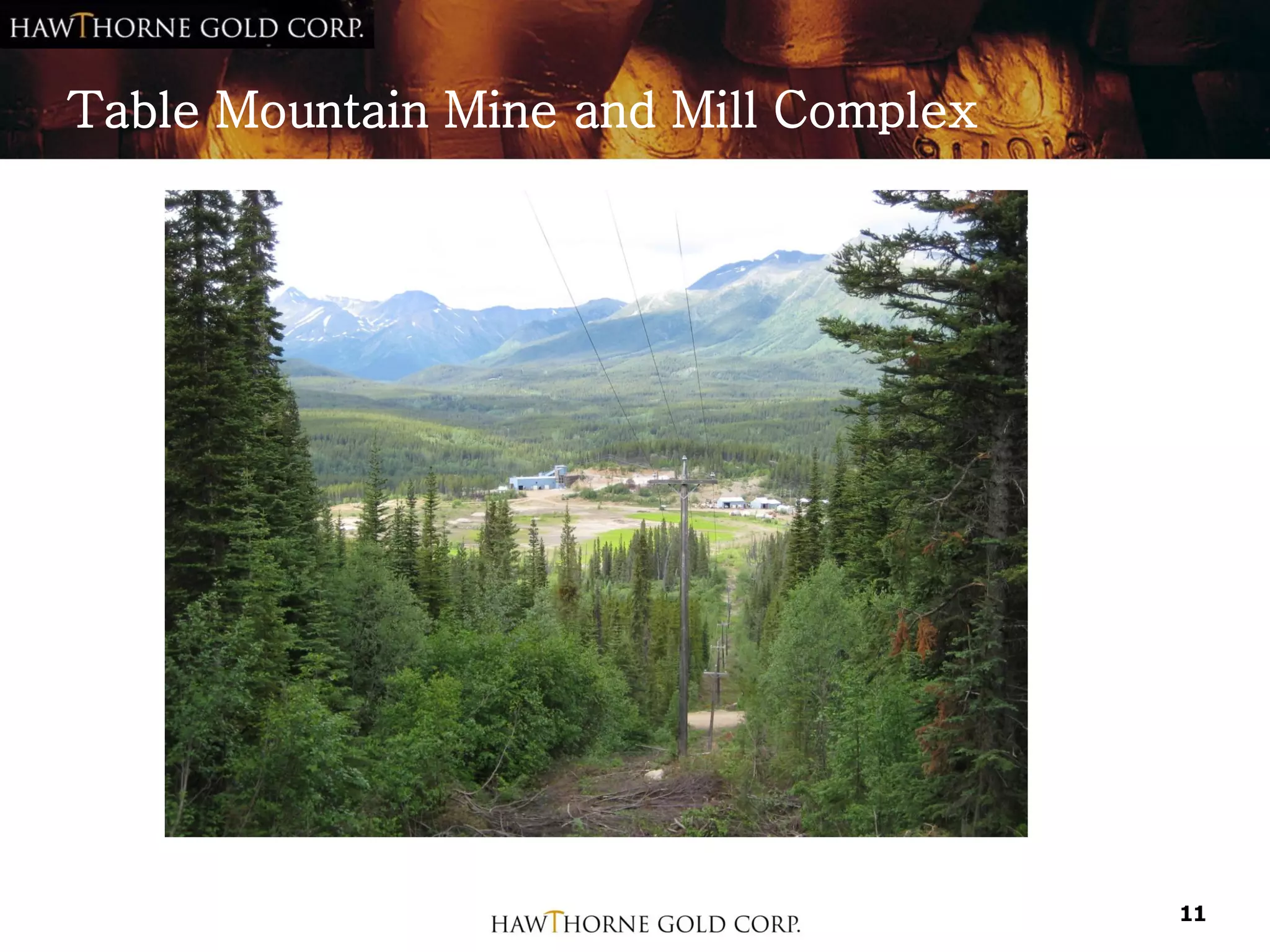 Table Mountain Mine and Mill Complex




                                       11
 