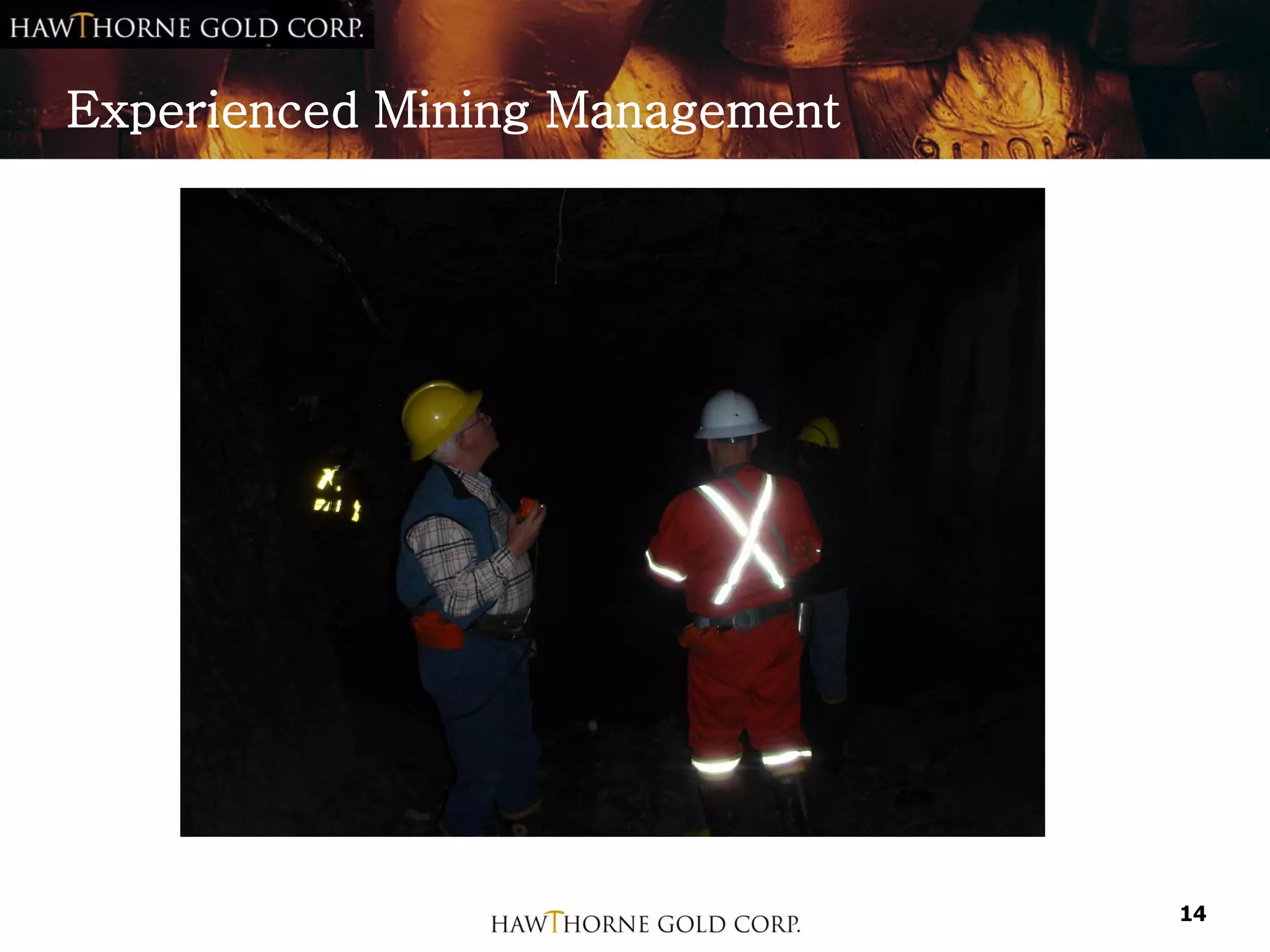 Experienced Mining Management




                                14
 