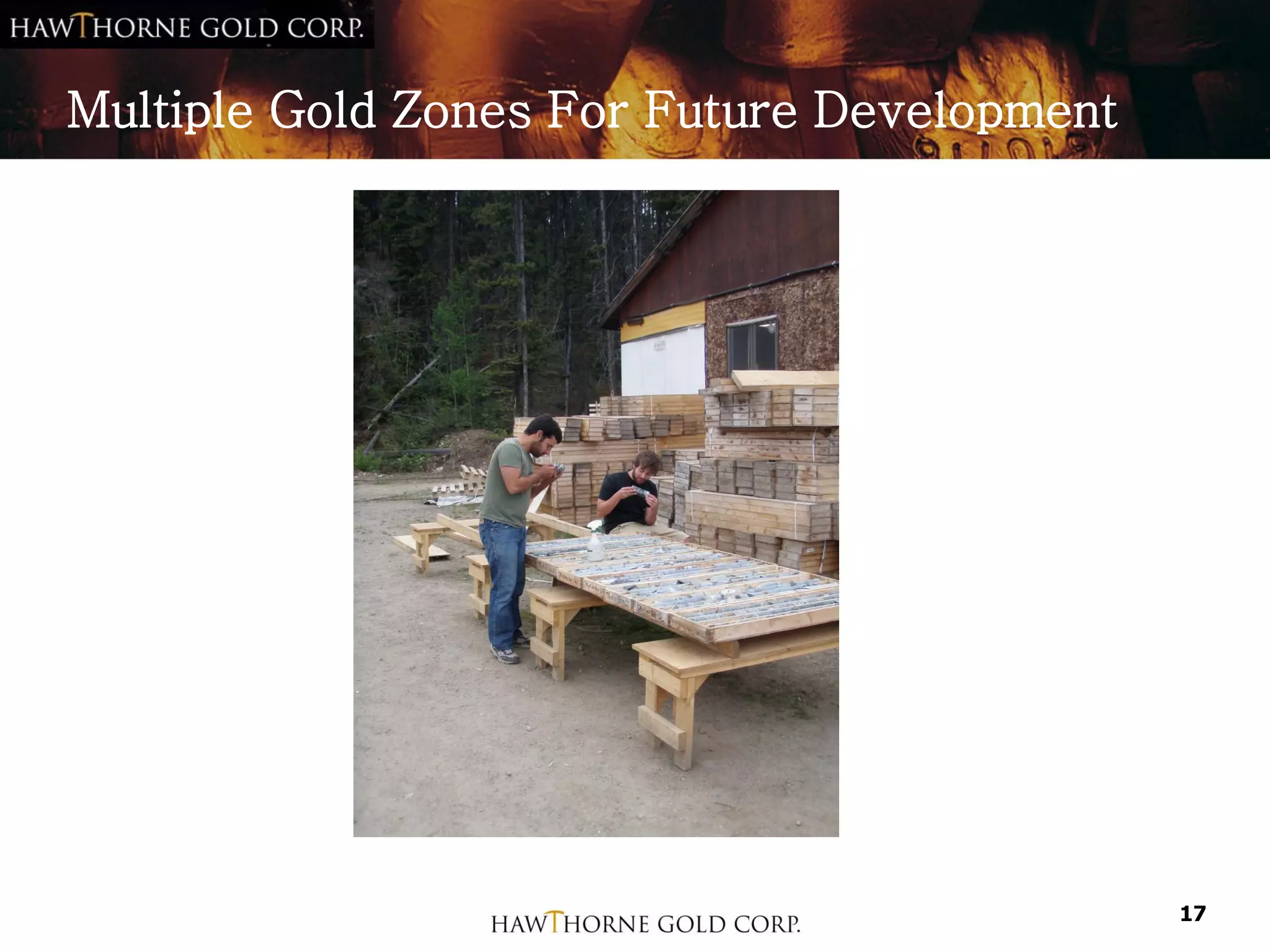 Multiple Gold Zones For Future Development




                                             17
 