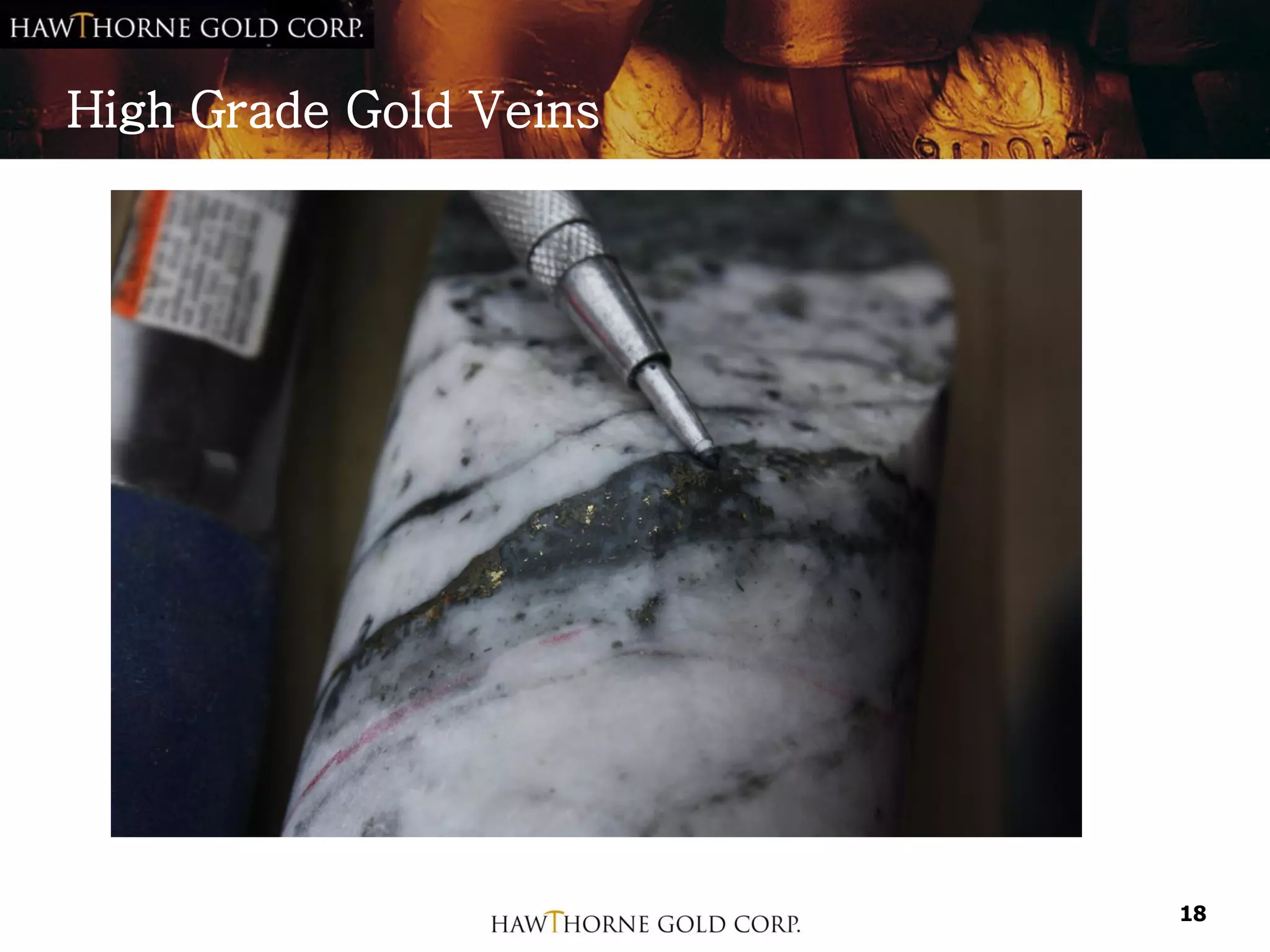 High Grade Gold Veins




                        18
 