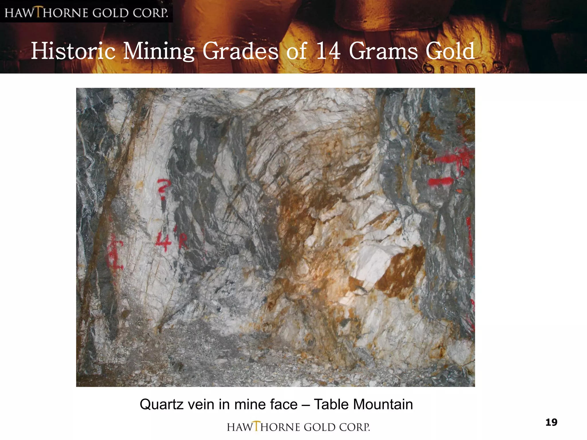 Historic Mining Grades of 14 Grams Gold




         Quartz vein in mine face – Table Mountain
                                                     19
 