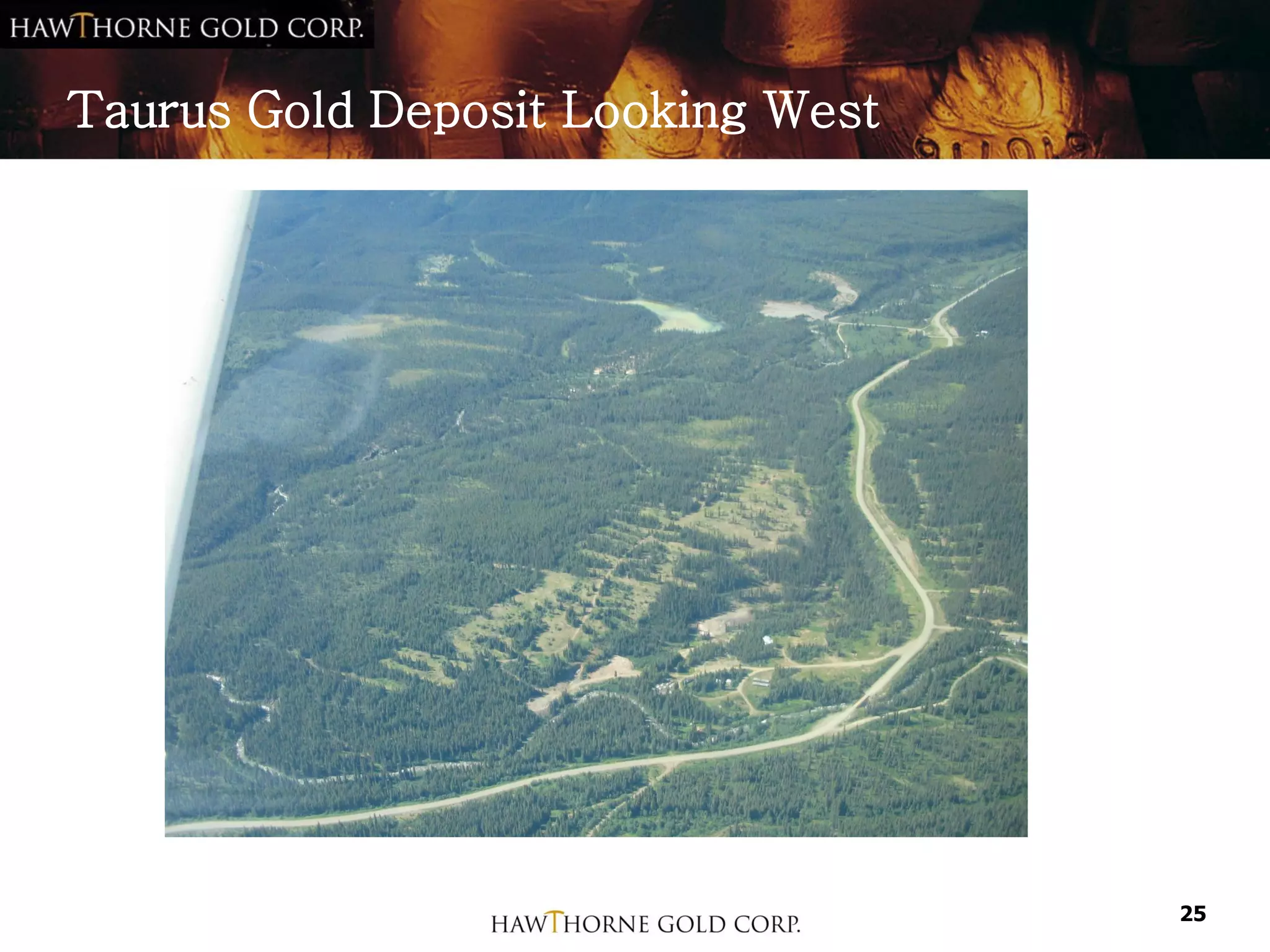 Taurus Gold Deposit Looking West




                                   25
 