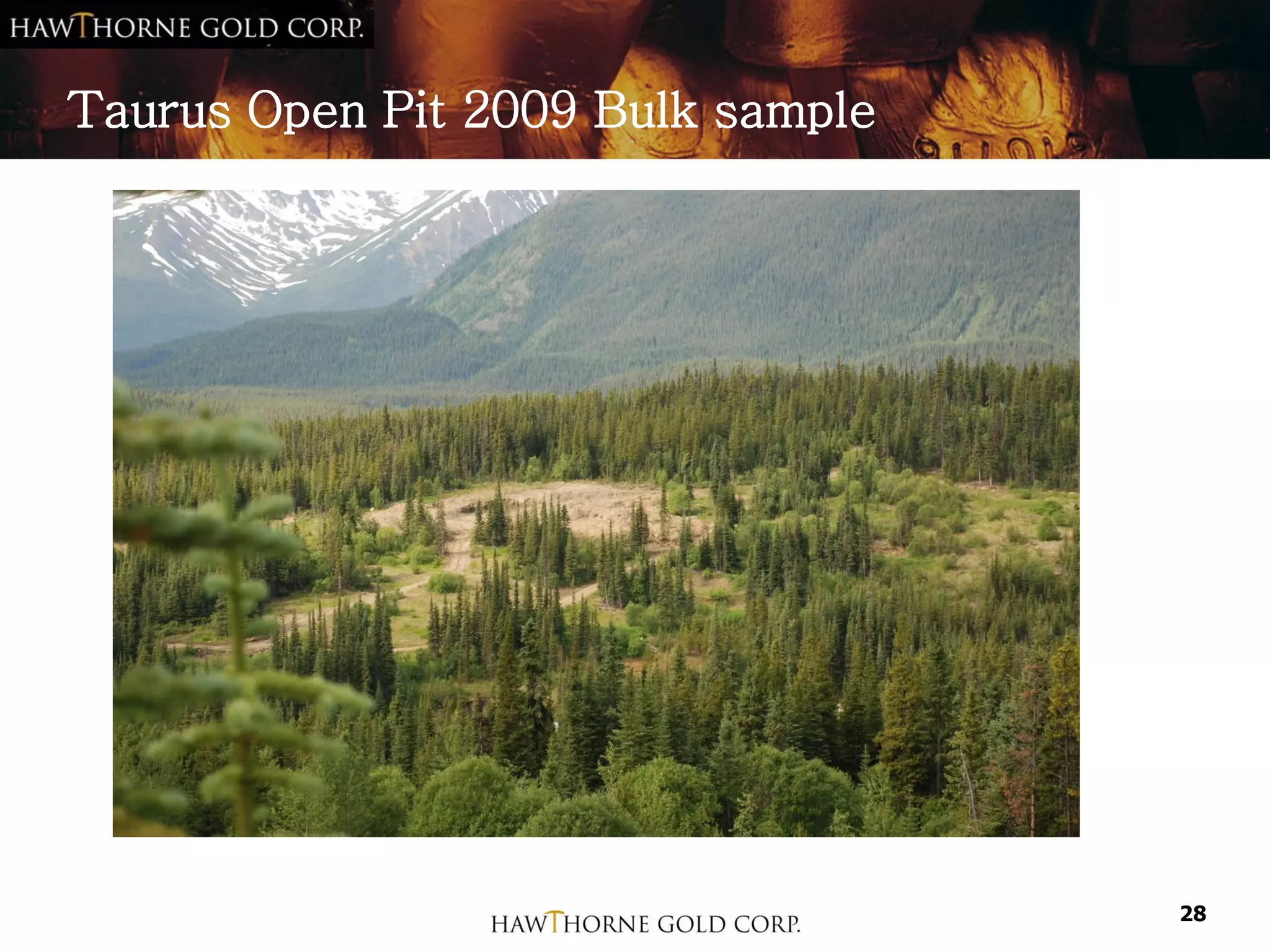 Taurus Open Pit 2009 Bulk sample




                                   28
 
