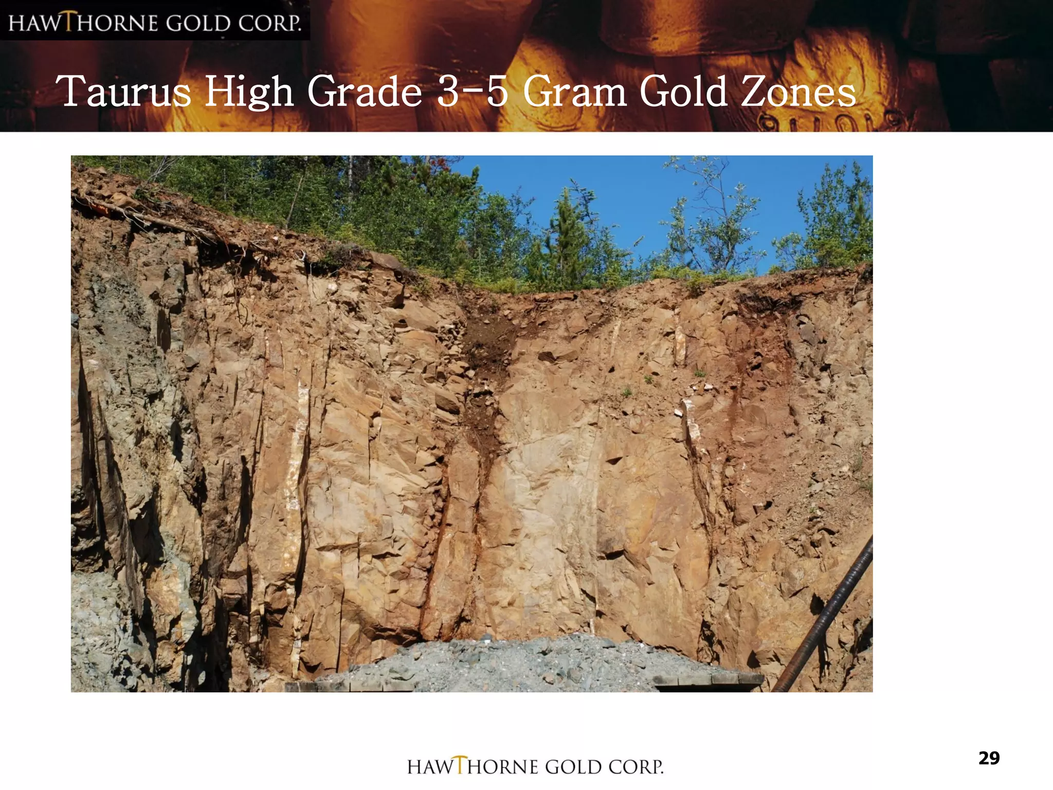 Taurus High Grade 3-5 Gram Gold Zones




                                        29
 