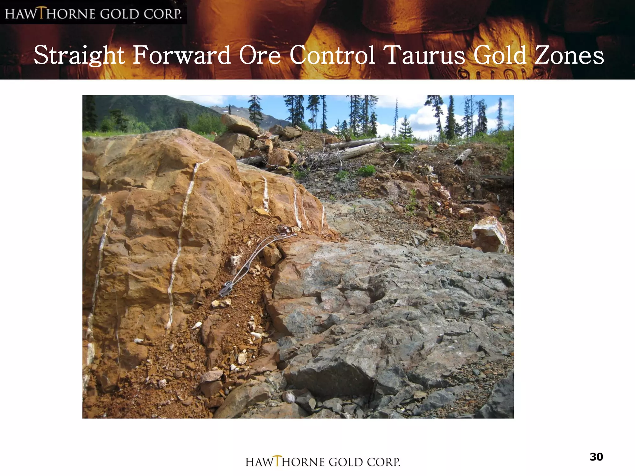 Straight Forward Ore Control Taurus Gold Zones




                                            30
 