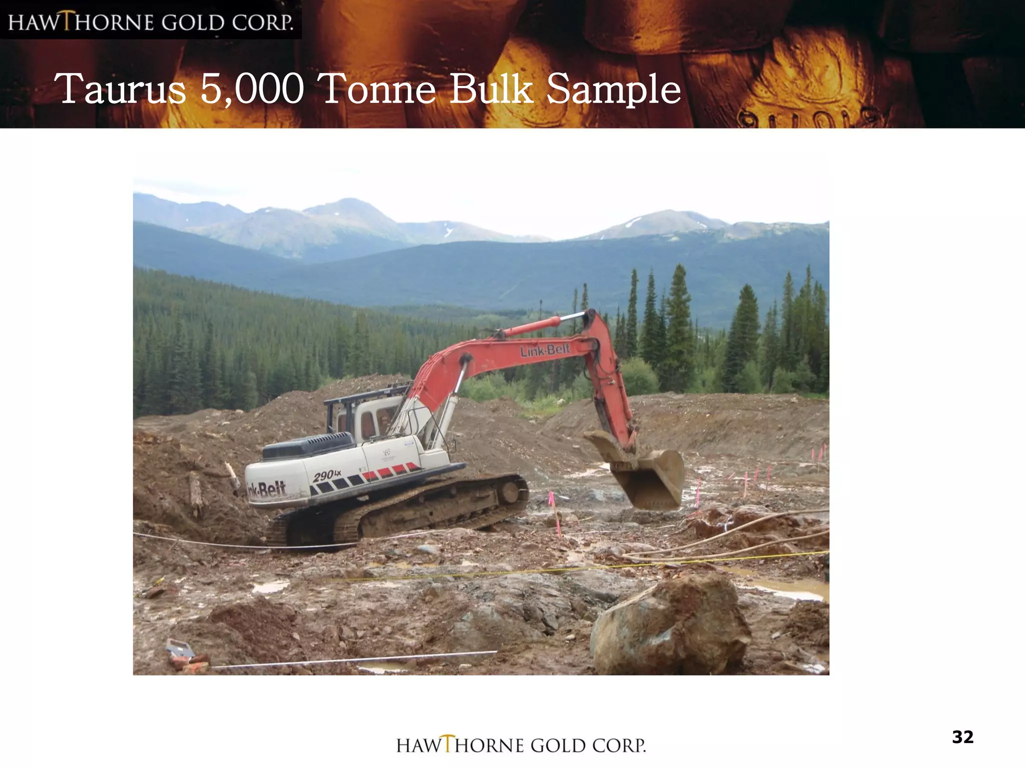 Taurus 5,000 Tonne Bulk Sample




                                 32
 