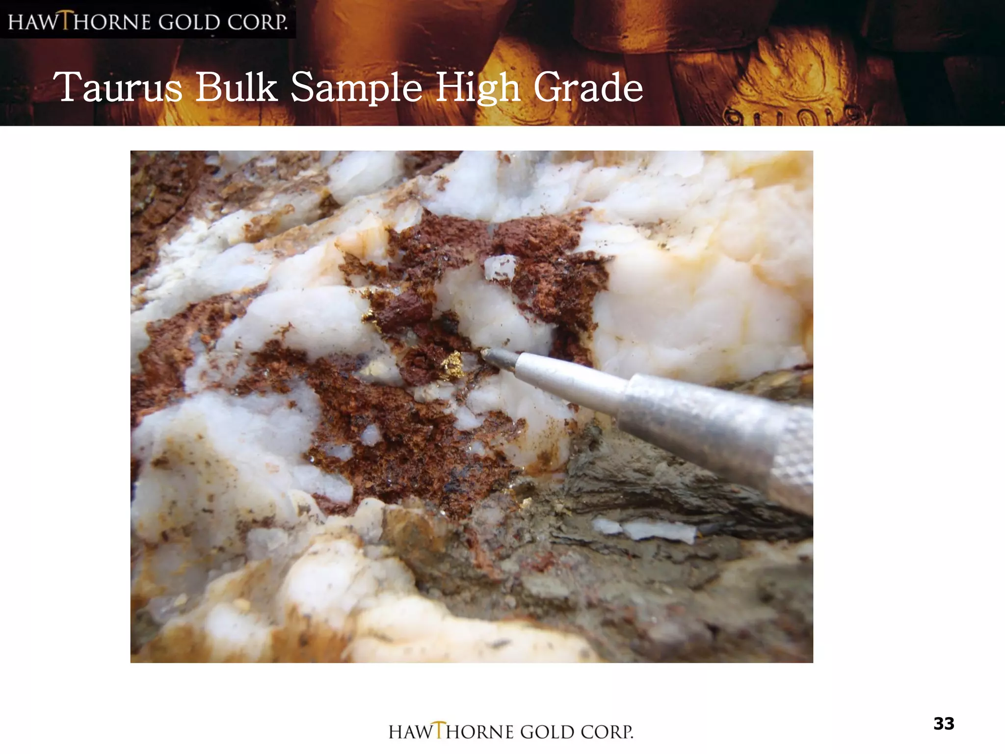 Taurus Bulk Sample High Grade




                                33
 