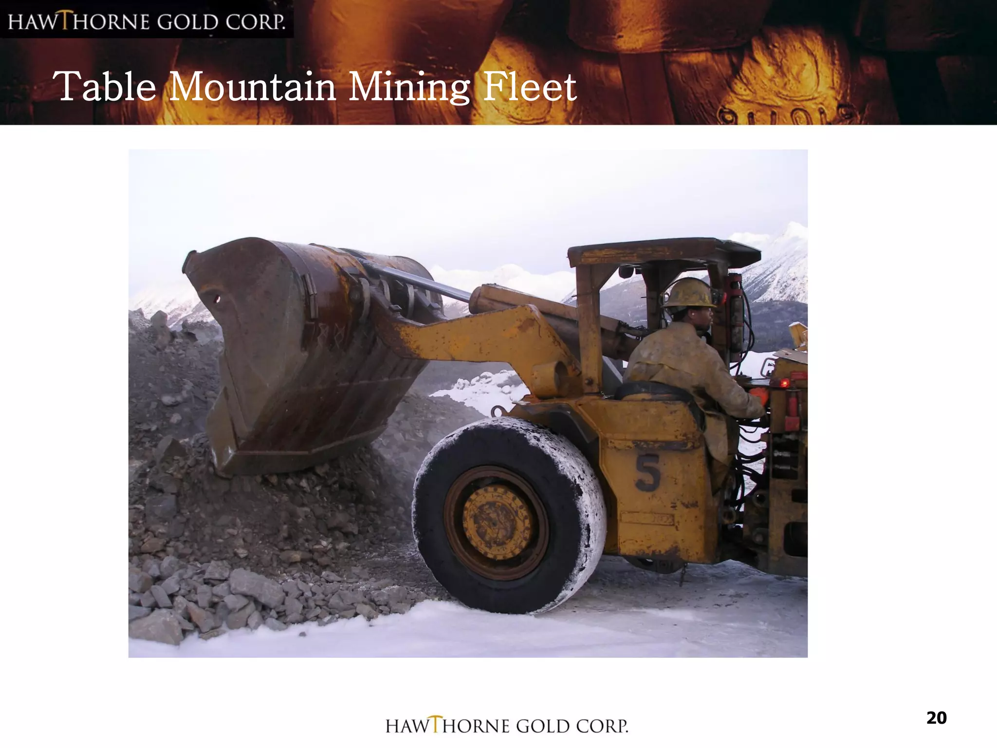 Table Mountain Mining Fleet




                              20
 