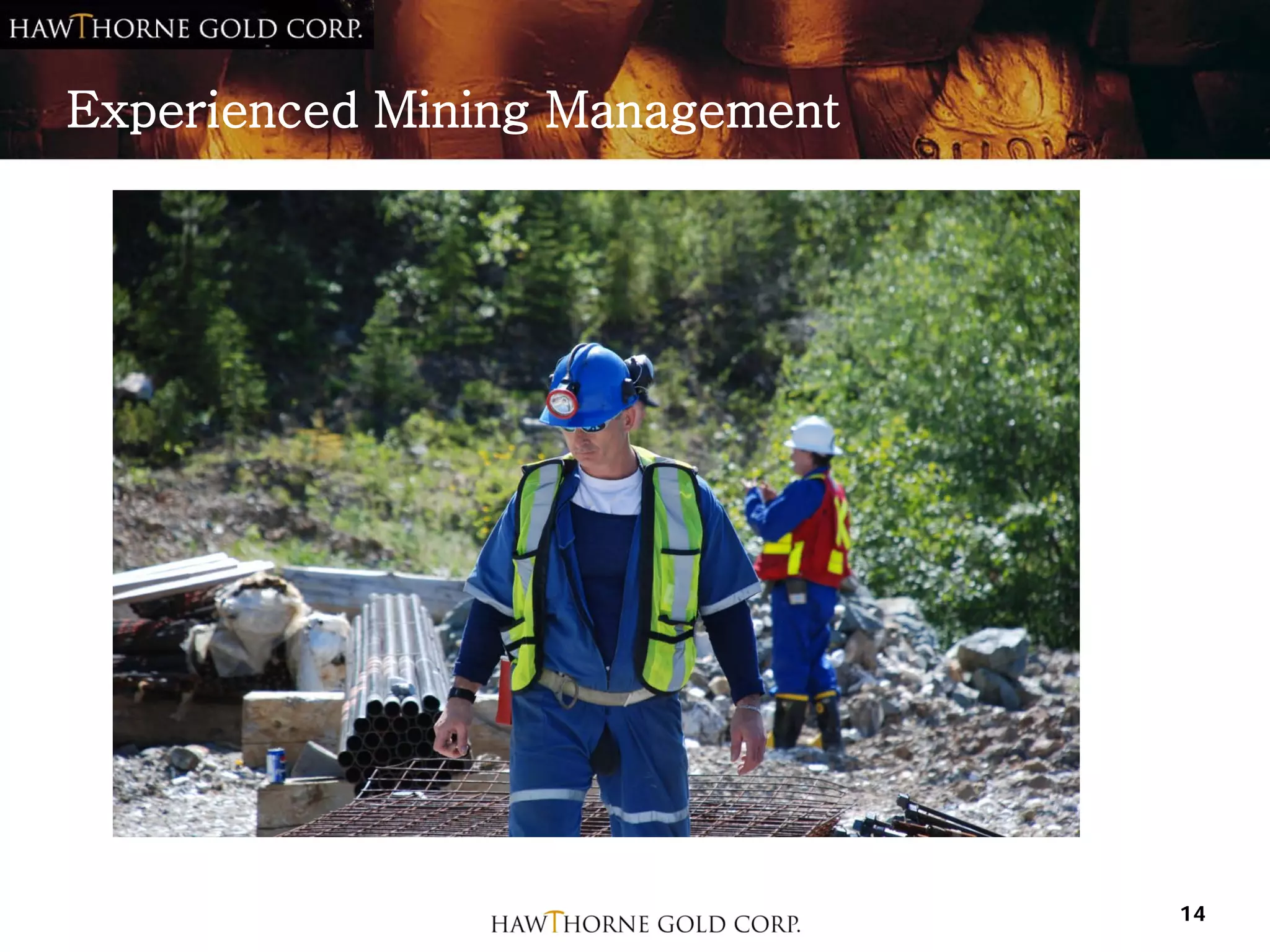 Experienced Mining Management




                                14
 