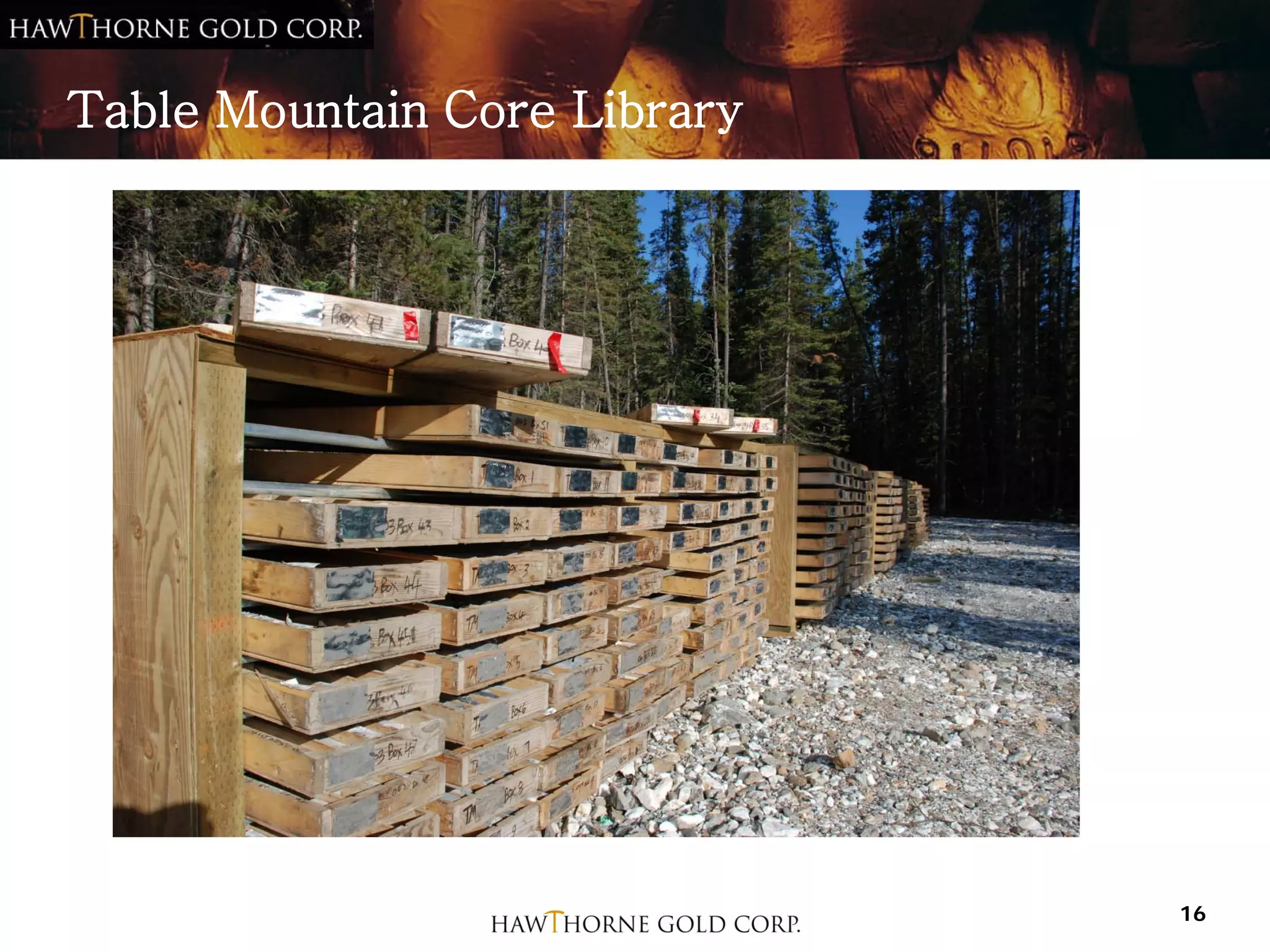 Table Mountain Core Library




                              16
 