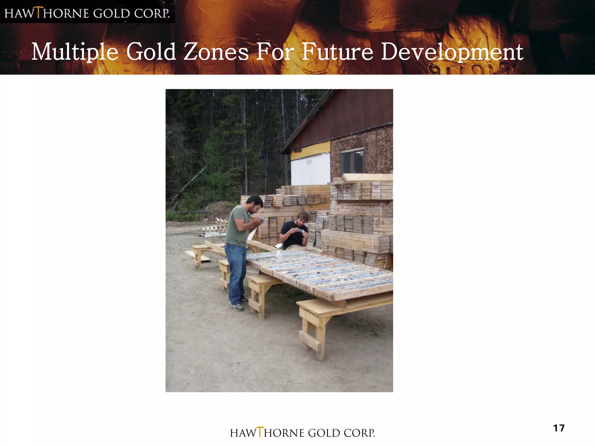 Multiple Gold Zones For Future Development




                                             17
 