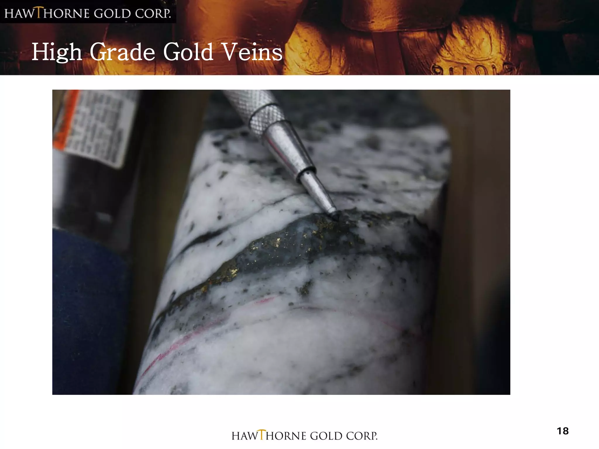 High Grade Gold Veins




                        18
 