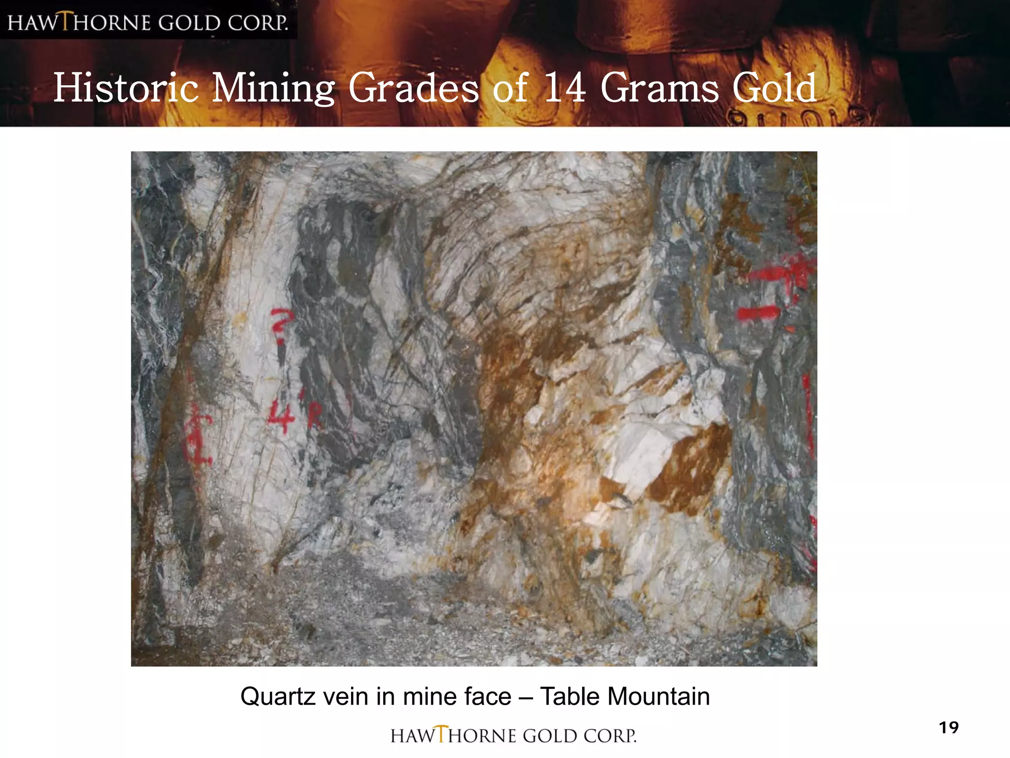 Historic Mining Grades of 14 Grams Gold




         Quartz vein in mine face – Table Mountain
                                                     19
 