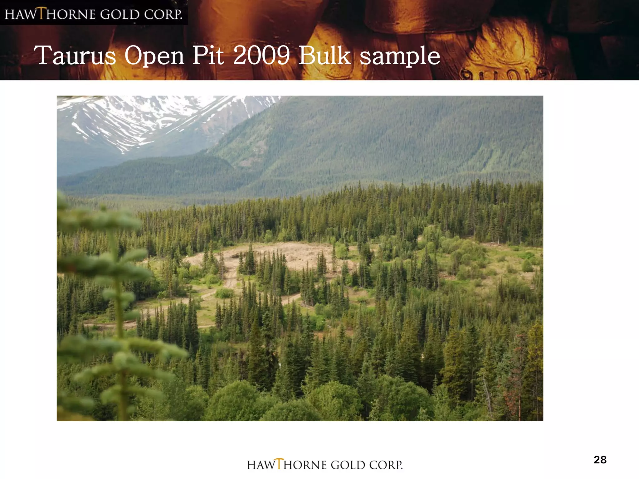 Taurus Open Pit 2009 Bulk sample




                                   28
 