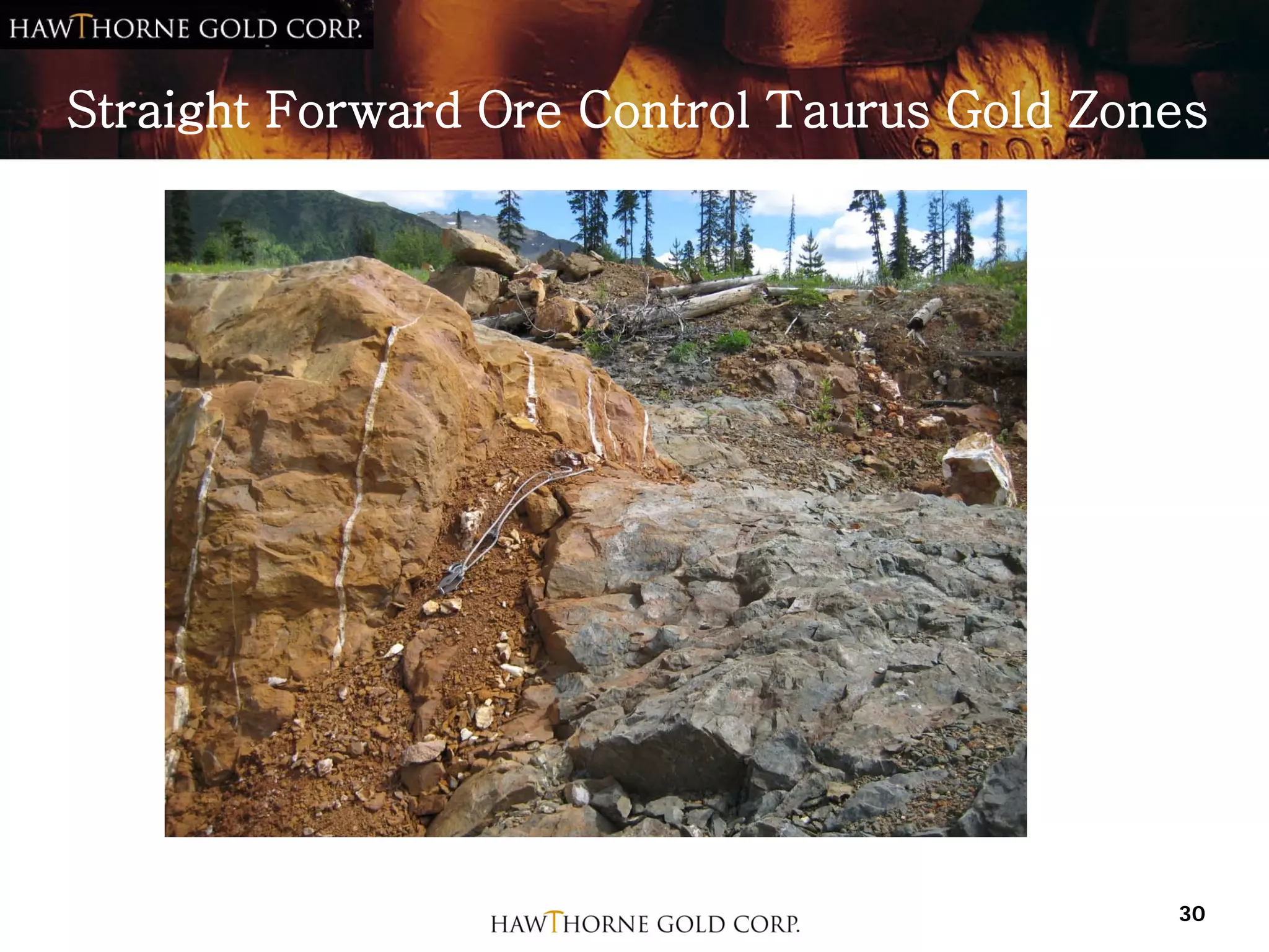 Straight Forward Ore Control Taurus Gold Zones




                                            30
 
