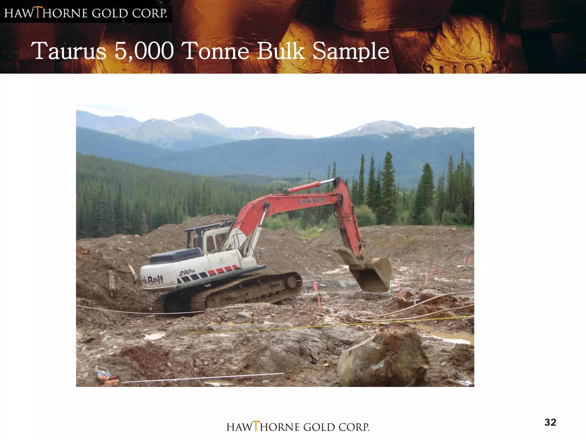 Taurus 5,000 Tonne Bulk Sample




                                 32
 