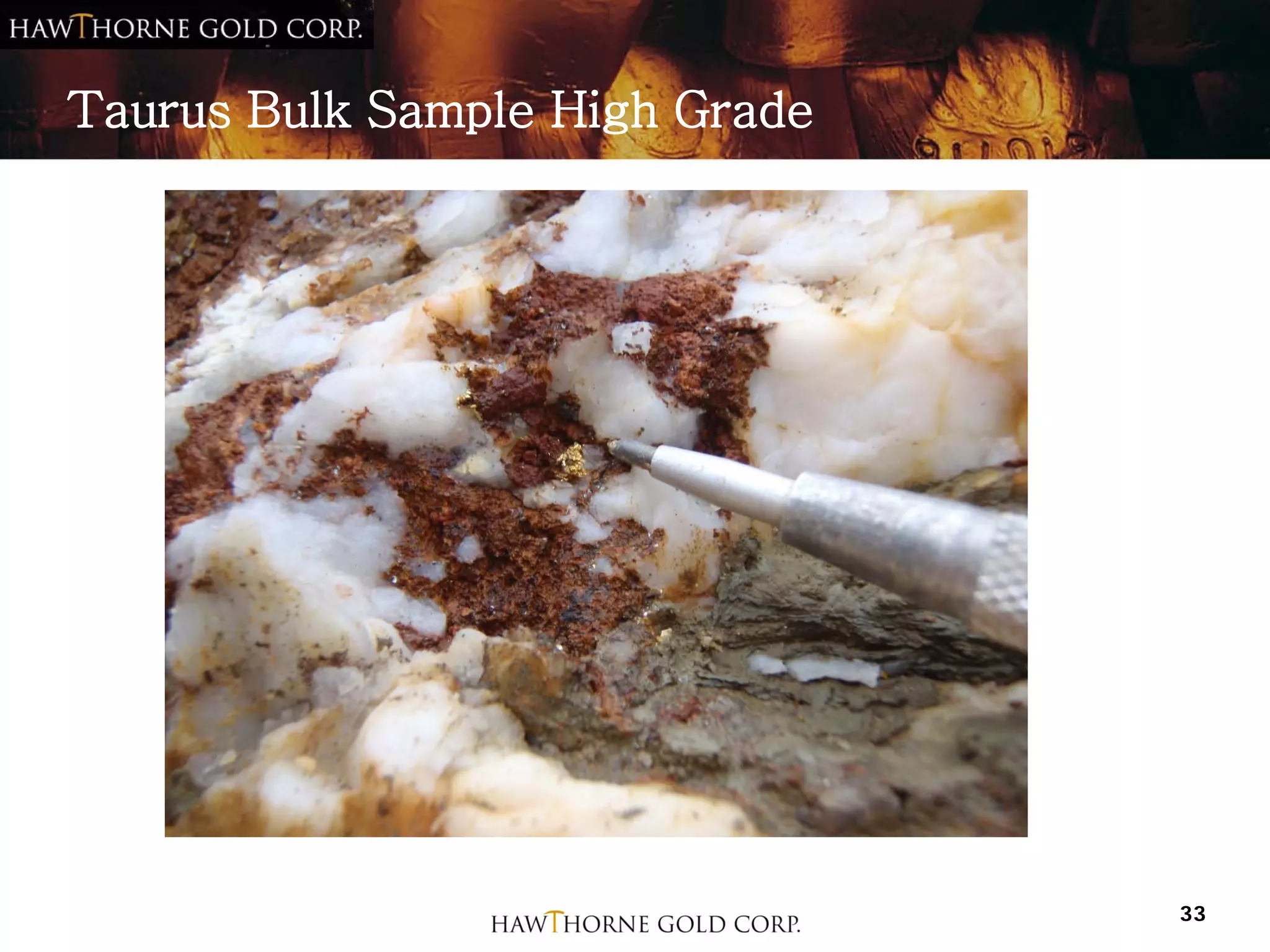 Taurus Bulk Sample High Grade




                                33
 