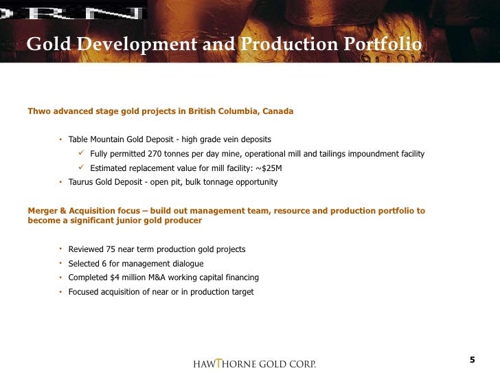HGC Corporate Presentation July 2010