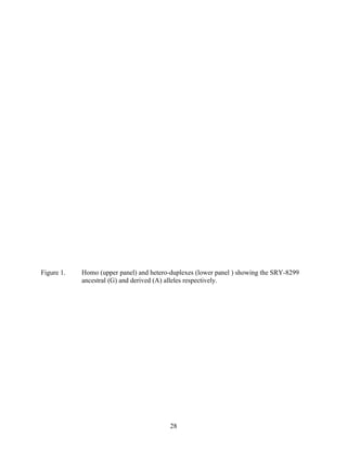 Figure 1.   Homo (upper panel) and hetero-duplexes (lower panel ) showing the SRY-8299
            ancestral (G) and derived (A) alleles respectively.




                                          28
 