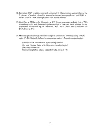 12. Precipitate DNA by adding one-tenth volume of 10 M ammonium acetate followed by
    2 volumes of absolute ethanol (or an equal volume of isopropanol), mix until DNA is
    visible. Store at -20°C overnight or at -70°C for 15 minutes.

13. Centrifuge at 3200 rpm for 90 minutes at 4°C, decant supernatant and add 5 ml of 70%
    ethanol (tap pellet so it floats) and again centrifuge at 3200 rpm for 40 minutes, decant
    supernatant and vacuum dry for 10 minutes. Add 1 ml of 10 mM Tris to resuspend the
    DNA. Store at 4°C.


14. Measure optical density (OD) of the sample at 260 nm and 280 nm (ideally 260/280
    ratio=1.7-2.0; Ratio >2.0 phenol contamination; ratio< 1.7 protein contamination)

       Calculate DNA concentration by following formula:
       Abs 260 x Dilution factor x 50= DNA concentration (µg/ml)
       (50=correction factor)
       Transfer sample to a labeled Eppendorf tube. Store at 4°C.




                                           7
 