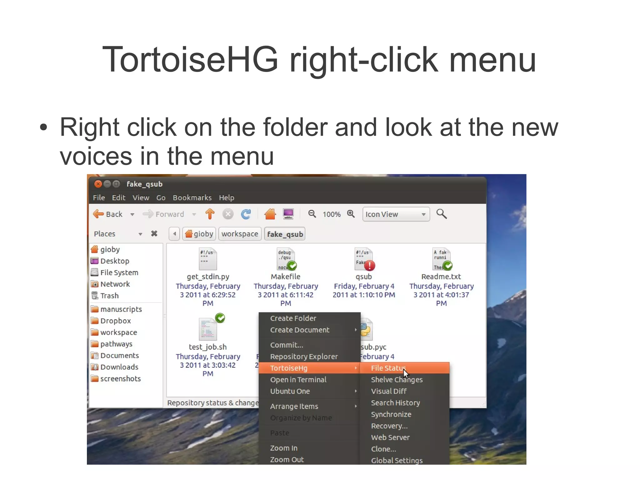 TortoiseHG right-click menu
●   Right click on the folder and look at the new
    voices in the menu
 