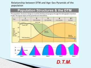 D.T.M.
Relationship between DTM and Age-Sex Pyramids of the
population
 