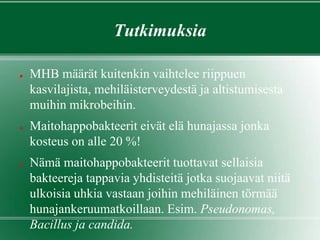 Tutkimuksia
● MHB määrät kuitenkin vaihtelee riippuen
kasvilajista, mehiläisterveydestä ja altistumisesta
muihin mikrobeihin.
● Maitohappobakteerit eivät elä hunajassa jonka
kosteus on alle 20 %!
● Nämä maitohappobakteerit tuottavat sellaisia
bakteereja tappavia yhdisteitä jotka suojaavat niitä
ulkoisia uhkia vastaan joihin mehiläinen törmää
hunajankeruumatkoillaan. Esim. Pseudonomas,
Bacillus ja candida.
 