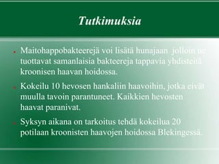 Tutkimuksia
● Maitohappobakteerejä voi lisätä hunajaan jolloin ne
tuottavat samanlaisia bakteereja tappavia yhdisteitä
kroonisen haavan hoidossa.
● Kokeilu 10 hevosen hankaliin haavoihin, jotka eivät
muulla tavoin parantuneet. Kaikkien hevosten
haavat paranivat.
● Syksyn aikana on tarkoitus tehdä kokeilua 20
potilaan kroonisten haavojen hoidossa Blekingessä.
 