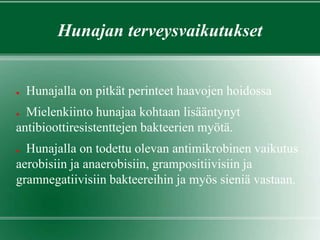 Hunajan terveysvaikutukset
● Hunajalla on pitkät perinteet haavojen hoidossa
● Mielenkiinto hunajaa kohtaan lisääntynyt
antibioottiresistenttejen bakteerien myötä.
● Hunajalla on todettu olevan antimikrobinen vaikutus
aerobisiin ja anaerobisiin, grampositiivisiin ja
gramnegatiivisiin bakteereihin ja myös sieniä vastaan.
 