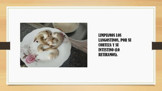 LIMPIAMOS LOS
LANGOSTINOS, POR SU
CORTEZA Y SU
INTESTINO (LO
RETIRAMOS).
 