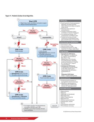 16	 American Heart Association
Figure 11. Pediatric Cardiac Arrest Algorithm.
 