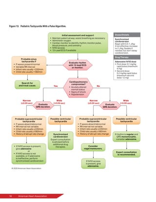 18	 American Heart Association
Figure 13.  Pediatric Tachycardia With a Pulse Algorithm.
 