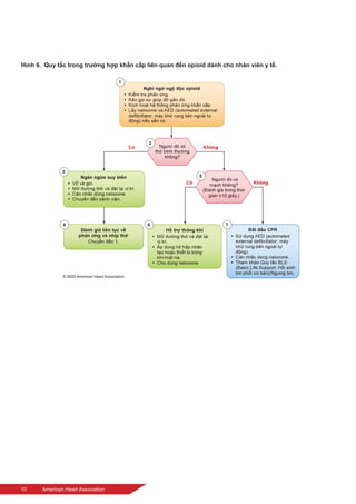 10	 American Heart Association
Hình 6.  Quy tắc trong trường hợp khẩn cấp liên quan đến opioid dành cho nhân viên y tế.
 
