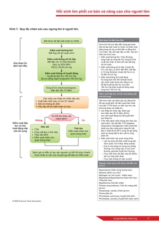 eccguidelines.heart.org	 11
Hình 7.  Quy tắc chăm sóc sau ngưng tim ở người lớn.
Hồi sinh tim phổi cơ bản và nâng cao cho người lớn
 