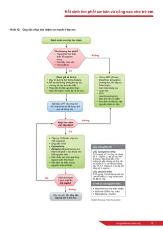 eccguidelines.heart.org	 19
Hình 12.  Quy tắc nhịp tim chậm có mạch ở trẻ em.
Hồi sinh tim phổi cơ bản và nâng cao cho trẻ em
 