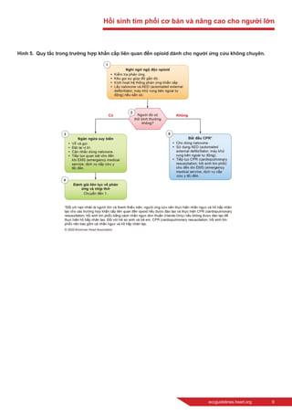 eccguidelines.heart.org	 9
Hình 5.  Quy tắc trong trường hợp khẩn cấp liên quan đến opioid dành cho người ứng cứu không chuyên.
Hồi sinh tim phổi cơ bản và nâng cao cho người lớn
 