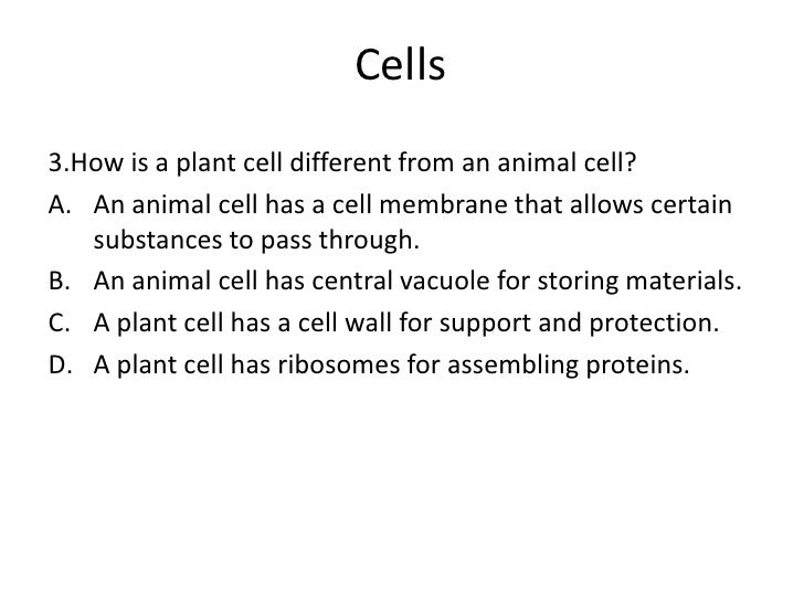 Hghs Biology Eoc