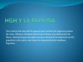 Son tantos los usos de la papaya que incluso en algunos países
de Asia, África y Oceanía destinan el fruto a la obtención de
látex; mientras que sus aplicaciones alcanzan la industria textil,
papelera y de cuero, así como la depuración de residuos
líquidos.
 