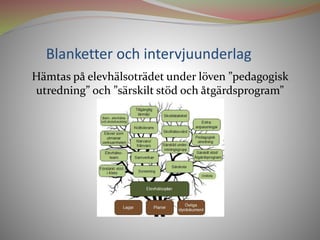 Höglundas presentation 2