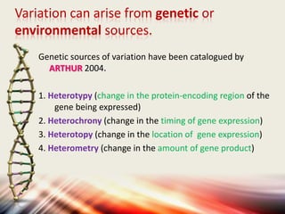 Heterotypy DNA methylation and Diet | PPTX