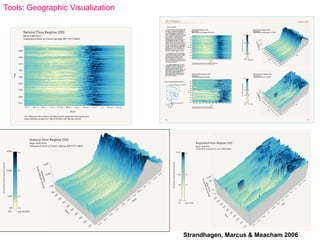 Strandhagen, Marcus & Meacham 2006
Tools: Geographic Visualization
 