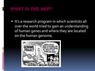 What is the HGP?

 It’s a research program in which scientists all
  over the world tried to gain an understanding
  of human genes and where they are located
  on the human genome.
 