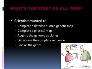 What’s the point of all this?

 Scientists wanted to:
   Complete a detailed human genetic map
   Complete a physical map
   Acquire the genome as clones
   Determine the complete sequence
   Find all the genes
 