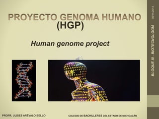 BLOQUE III . BIOTECNOLOGÍA 08/11/2014 
PROFR. ULISES ARÉVALO BELLO 
(HGP) 
Human genome project 
COLEGIO DE BACHILLERES DEL ESTADO DE MICHOACÁN 
 