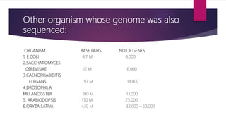 Other organism whose genome was also
sequenced:
ORGANISM BASE PAIRS NO.OF GENES
1. E.COLI 4.7 M 4,000
2.SACCHAROMYCES
CEREVISIAE 12 M 6,000
3.CAENORHABIDITIS
ELEGANS 97 M 18,000
4.DROSOPHILA
MELANOGSTER 180 M 13,000
5. ARABIODOPSIS 130 M 25,000
6.ORYZA SATIVA 430 M 32,000 – 50,000
 