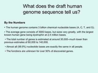 What does the draft human
genome sequence tell us?
By the Numbers
• The human genome contains 3 billion chemical nucleotide bases (A, C, T, and G).
• The average gene consists of 3000 bases, but sizes vary greatly, with the largest
known human gene being dystrophin at 2.4 million bases.
• The total number of genes is estimated at around 30,000--much lower than
previous estimates of 80,000 to 140,000.
• Almost all (99.9%) nucleotide bases are exactly the same in all people.
• The functions are unknown for over 50% of discovered genes.
 