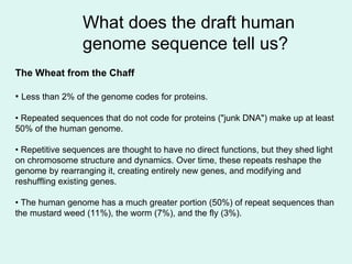 What does the draft human
genome sequence tell us?
The Wheat from the Chaff
• Less than 2% of the genome codes for proteins.
• Repeated sequences that do not code for proteins ("junk DNA") make up at least
50% of the human genome.
• Repetitive sequences are thought to have no direct functions, but they shed light
on chromosome structure and dynamics. Over time, these repeats reshape the
genome by rearranging it, creating entirely new genes, and modifying and
reshuffling existing genes.
• The human genome has a much greater portion (50%) of repeat sequences than
the mustard weed (11%), the worm (7%), and the fly (3%).
 